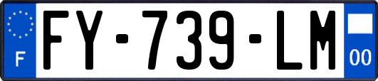 FY-739-LM