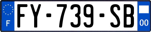 FY-739-SB