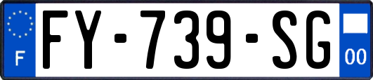 FY-739-SG
