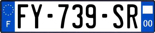 FY-739-SR