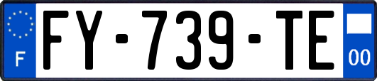 FY-739-TE