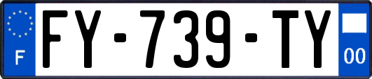 FY-739-TY