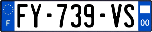 FY-739-VS