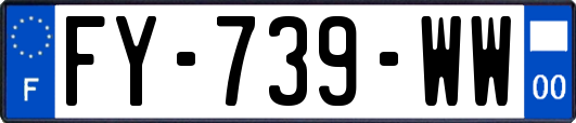 FY-739-WW