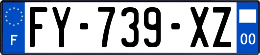 FY-739-XZ