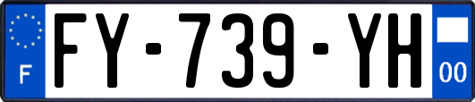 FY-739-YH