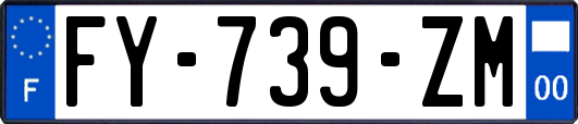 FY-739-ZM