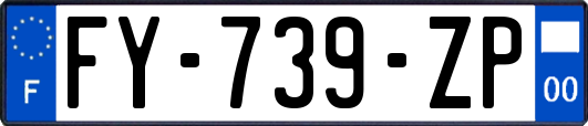 FY-739-ZP