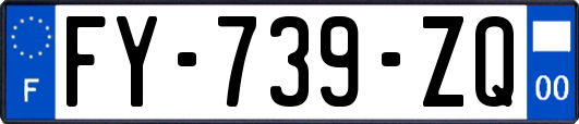 FY-739-ZQ