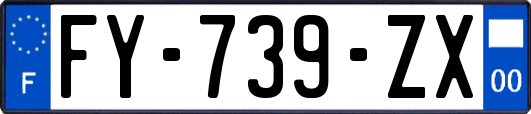 FY-739-ZX