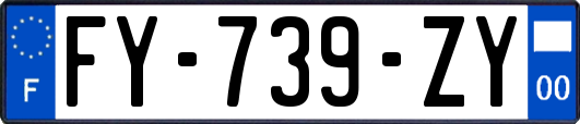FY-739-ZY