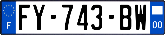 FY-743-BW