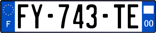 FY-743-TE