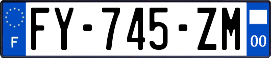 FY-745-ZM