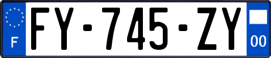FY-745-ZY