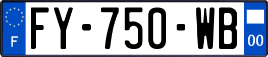 FY-750-WB