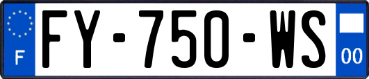 FY-750-WS