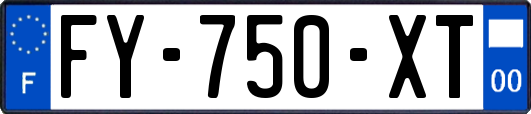 FY-750-XT