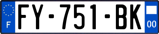 FY-751-BK