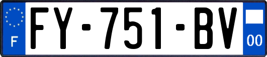FY-751-BV