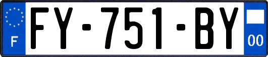 FY-751-BY
