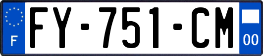 FY-751-CM
