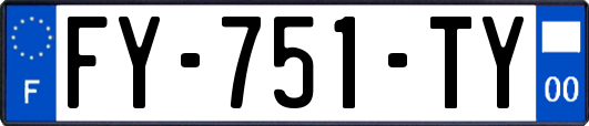 FY-751-TY