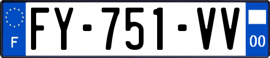 FY-751-VV