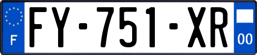 FY-751-XR