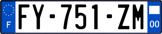 FY-751-ZM