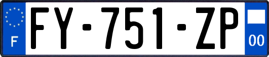 FY-751-ZP