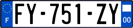 FY-751-ZY