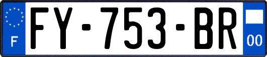 FY-753-BR