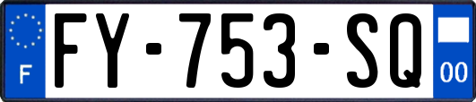 FY-753-SQ