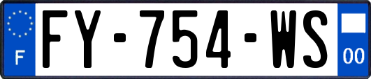 FY-754-WS