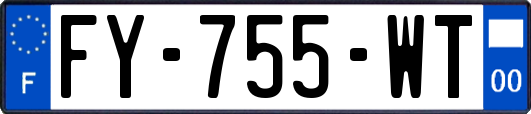 FY-755-WT