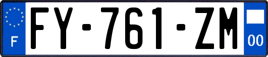 FY-761-ZM