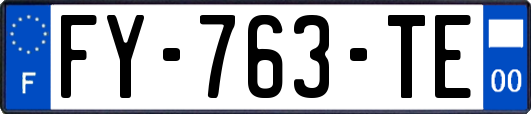 FY-763-TE