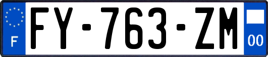 FY-763-ZM