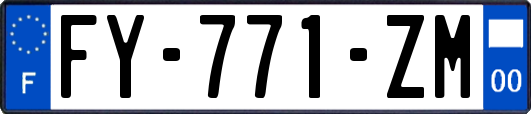 FY-771-ZM