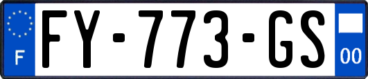 FY-773-GS