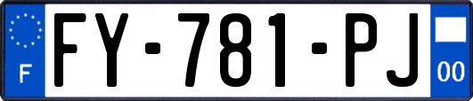 FY-781-PJ