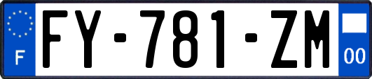 FY-781-ZM