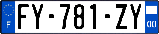 FY-781-ZY