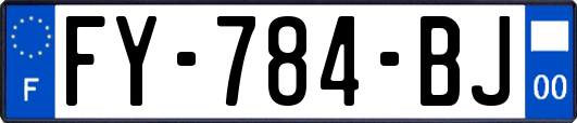 FY-784-BJ