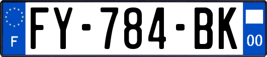 FY-784-BK