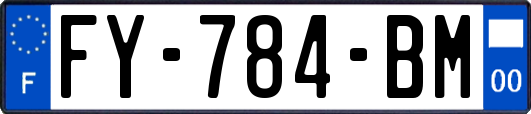FY-784-BM