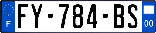FY-784-BS