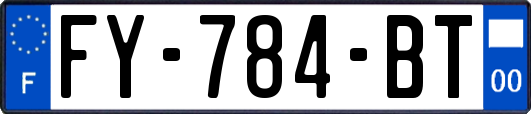 FY-784-BT
