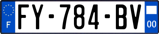 FY-784-BV